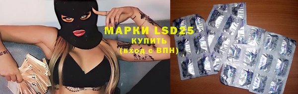 мяу мяу мука Гвардейск