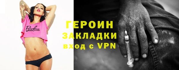 твердый Дмитровск