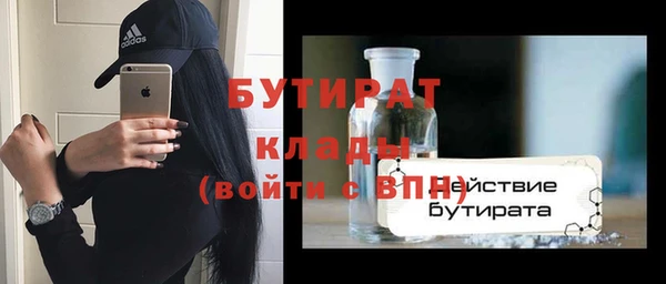 твердый Дмитровск