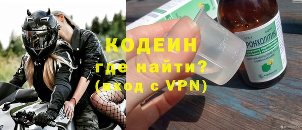 твердый Дмитровск
